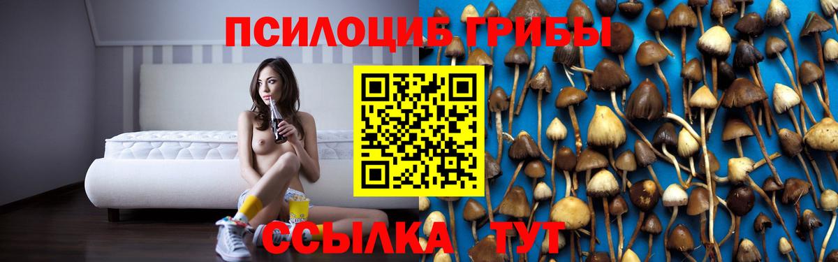Галлюциногенные грибы прущие грибы Краснодар