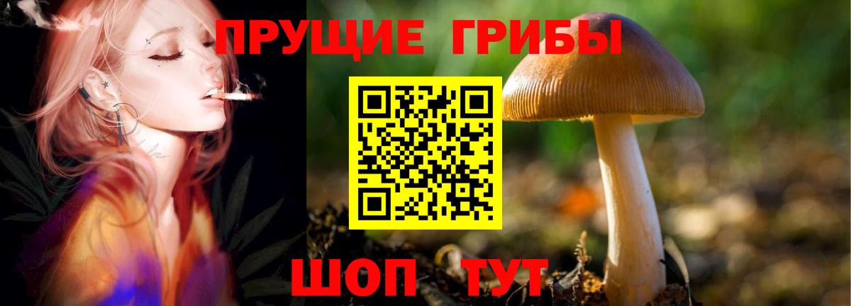 Краснодар  Псилоцибиновые грибы мицелий  Вход с VPN  Галлюциногенные грибы Psilocybine cubensis 