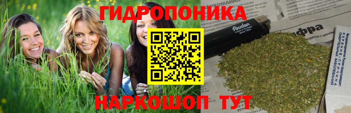 Каннабис семена Краснодар